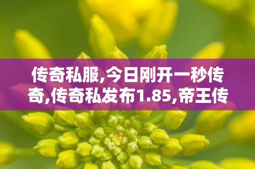 传奇私服,今日刚开一秒传奇,传奇私发布1.85,帝王传奇,传奇私发布1.85