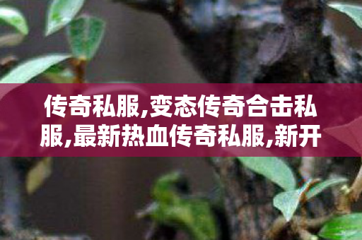 传奇私服,变态传奇合击私服,最新热血传奇私服,新开传奇网站发布网中变,最新热血传奇私服