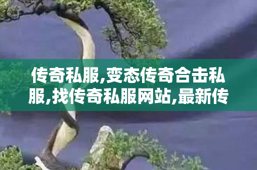 传奇私服,变态传奇合击私服,找传奇私服网站,最新传奇世界私服网,找传奇私服网站