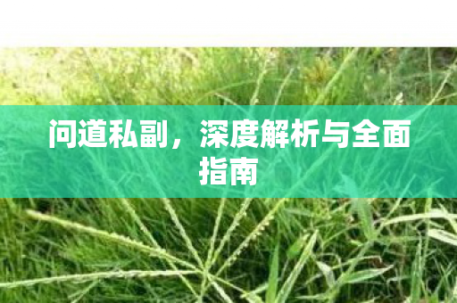 问道私副，深度解析与全面指南