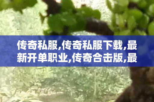 传奇私服,传奇私服下载,最新开单职业,传奇合击版,最新开单职业