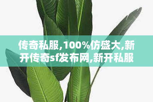传奇私服,100%仿盛大,新开传奇sf发布网,新开私服,新开传奇sf发布网