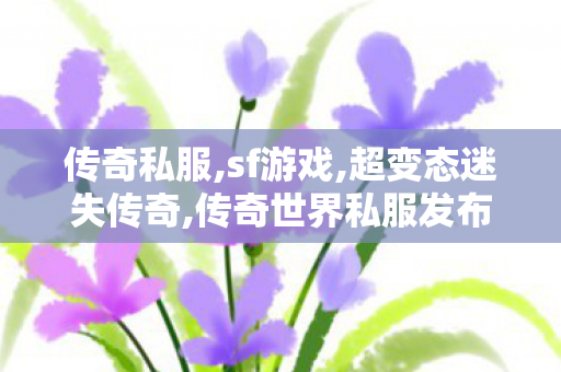 传奇私服,sf游戏,超变态迷失传奇,传奇世界私服发布网刚开一秒,超变态迷失传奇