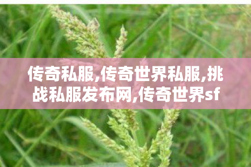 传奇私服,传奇世界私服,挑战私服发布网,传奇世界sf发布,挑战私服发布网