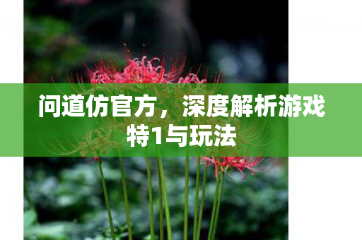 问道仿官方，深度解析游戏特1与玩法