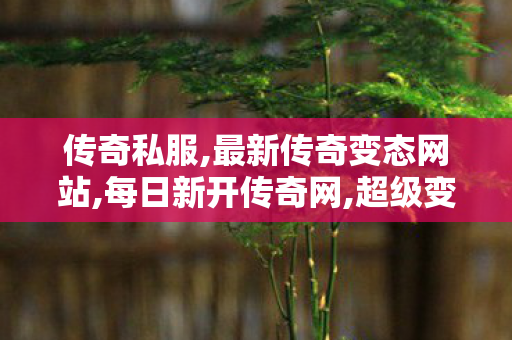传奇私服,最新传奇变态网站,每日新开传奇网,超级变态传奇私服网,每日新开传奇网