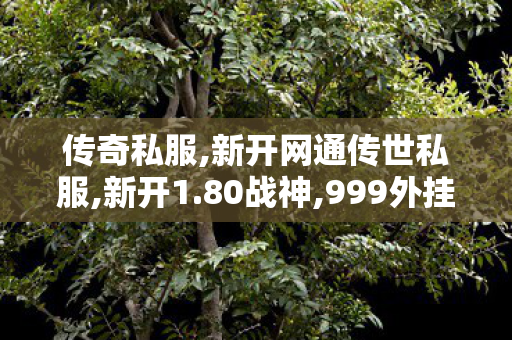 传奇私服,新开网通传世私服,新开1.80战神,999外挂网,新开1.80战神