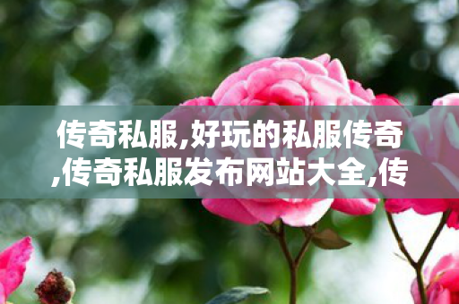 传奇私服,好玩的私服传奇,传奇私服发布网站大全,传世发布网,传奇私服发布网站大全