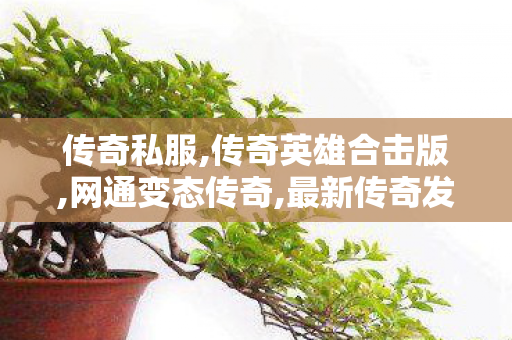 传奇私服,传奇英雄合击版,网通变态传奇,最新传奇发布网站,网通变态传奇
