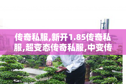 传奇私服,新开1.85传奇私服,超变态传奇私服,中变传奇发布网,超变态传奇私服