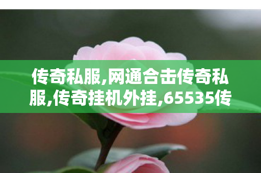 传奇私服,网通合击传奇私服,传奇挂机外挂,65535传奇私服,传奇挂机外挂