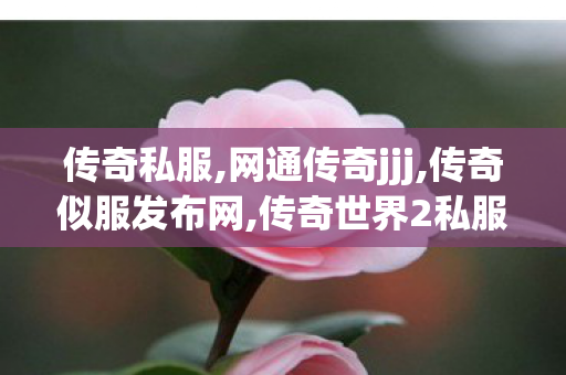 传奇私服,网通传奇jjj,传奇似服发布网,传奇世界2私服,传奇似服发布网