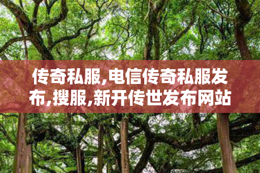 传奇私服,电信传奇私服发布,搜服,新开传世发布网站,搜服