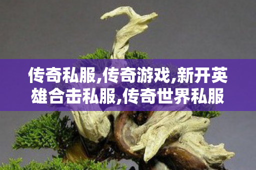 传奇私服,传奇游戏,新开英雄合击私服,传奇世界私服,传世私服网,新开英雄合击私服