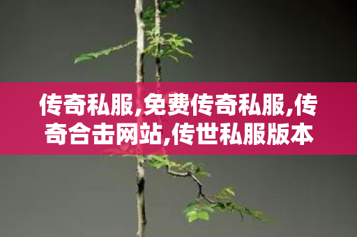 传奇私服,免费传奇私服,传奇合击网站,传世私服版本库,传奇合击网站