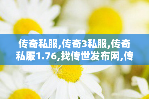 传奇私服,传奇3私服,传奇私服1.76,找传世发布网,传奇私服1.76