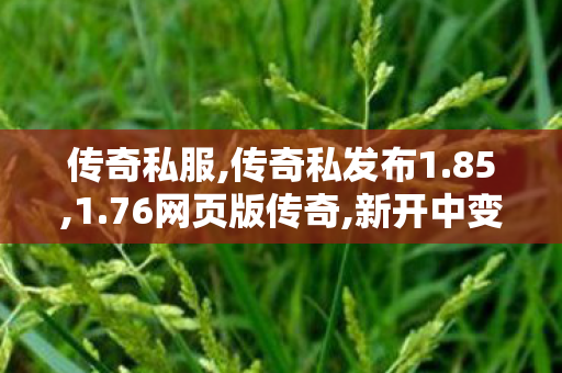 传奇私服,传奇私发布1.85,1.76网页版传奇,新开中变传奇发布网站,1.76网页版传奇