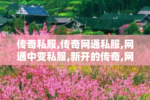 传奇私服,传奇网通私服,网通中变私服,新开的传奇,网通中变私服
