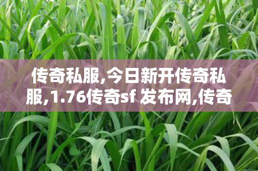 传奇私服,今日新开传奇私服,1.76传奇sf 发布网,传奇世界私服,传世sf网站,1.76传奇sf 发布网