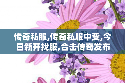 传奇私服,传奇私服中变,今日新开找服,合击传奇发布网,今日新开找服