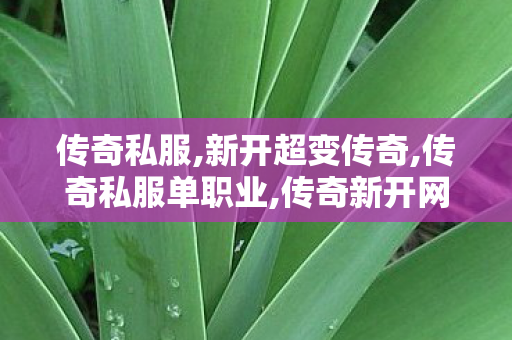 传奇私服,新开超变传奇,传奇私服单职业,传奇新开网站sf,传奇私服单职业
