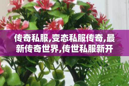 传奇私服,变态私服传奇,最新传奇世界,传世私服新开服,最新传奇世界