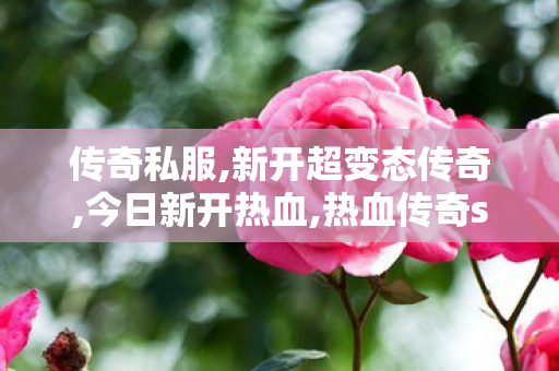 传奇私服,新开超变态传奇,今日新开热血,热血传奇sf,今日新开热血