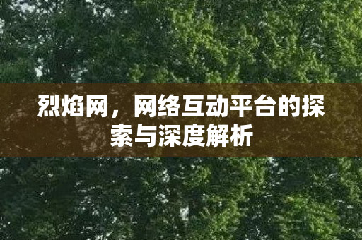 烈焰网，网络互动平台的探索与深度解析