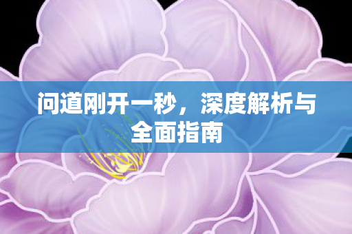 问道刚开一秒，深度解析与全面指南