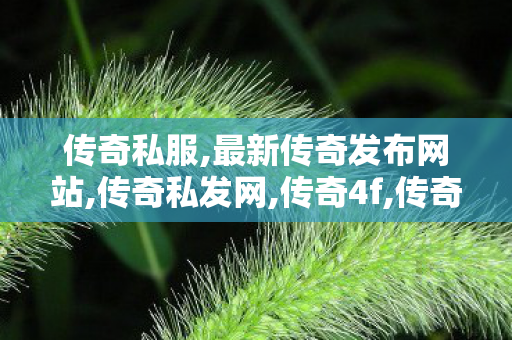 传奇私服,最新传奇发布网站,传奇私发网,传奇4f,传奇私发网
