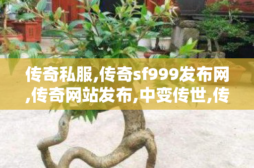 传奇私服,传奇sf999发布网,传奇网站发布,中变传世,传奇网站发布