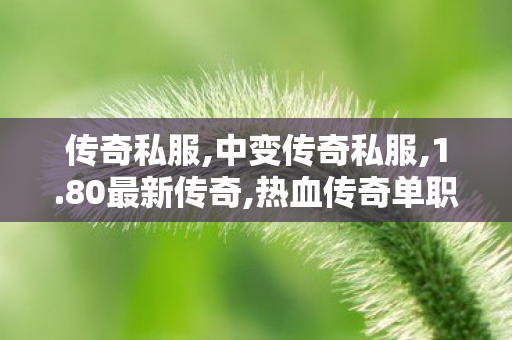 传奇私服,中变传奇私服,1.80最新传奇,热血传奇单职业,1.80最新传奇