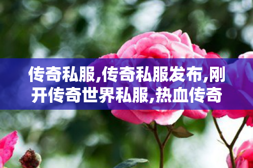 传奇私服,传奇私服发布,刚开传奇世界私服,热血传奇手游火墙强化,刚开传奇世界私服