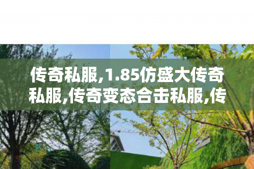 传奇私服,1.85仿盛大传奇私服,传奇变态合击私服,传奇世界私服发布网站,传奇变态合击私服