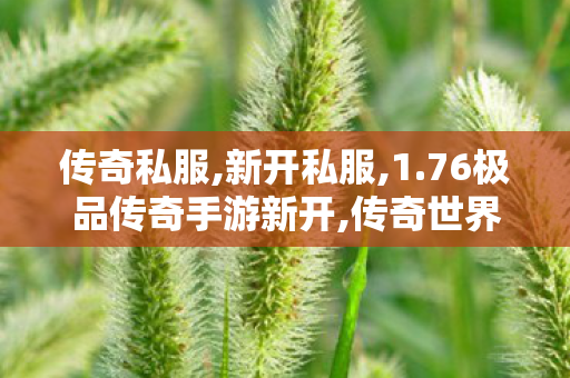 传奇私服,新开私服,1.76极品传奇手游新开,传奇世界私服,传奇世界sf发布网,1.76极品传奇手游新开