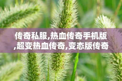 传奇私服,热血传奇手机版,超变热血传奇,变态版传奇,超变热血传奇