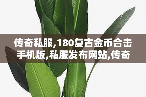 传奇私服,180复古金币合击手机版,私服发布网站,传奇世界公益服发布网,私服发布网站