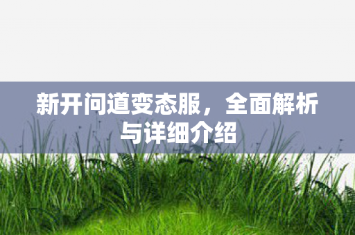 新开问道变态服，全面解析与详细介绍