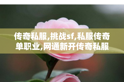 传奇私服,挑战sf,私服传奇单职业,网通新开传奇私服,私服传奇单职业