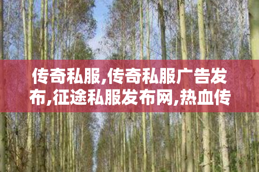 传奇私服,传奇私服广告发布,征途私服发布网,热血传奇法师技能列表,征途私服发布网