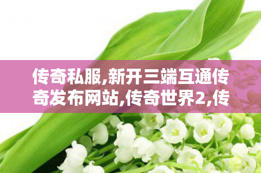 传奇私服,新开三端互通传奇发布网站,传奇世界2,传世手游sf,传奇世界2