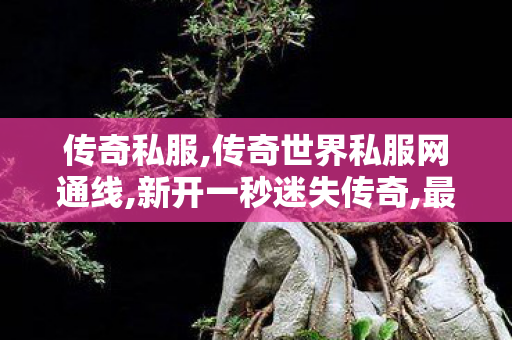 传奇私服,传奇世界私服网通线,新开一秒迷失传奇,最新传奇发布网站,新开一秒迷失传奇
