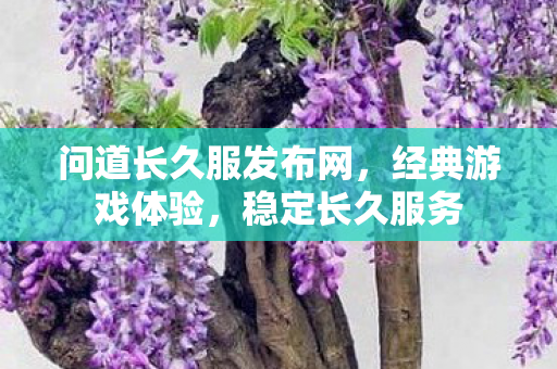 问道长久服发布网，经典游戏体验，稳定长久服务