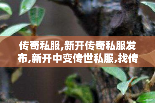 传奇私服,新开传奇私服发布,新开中变传世私服,找传世,新开中变传世私服