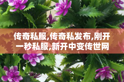 传奇私服,传奇私发布,刚开一秒私服,新开中变传世网站,刚开一秒私服