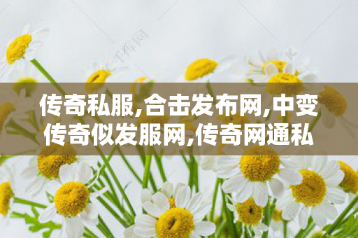 传奇私服,合击发布网,中变传奇似发服网,传奇网通私服发布网,中变传奇似发服网