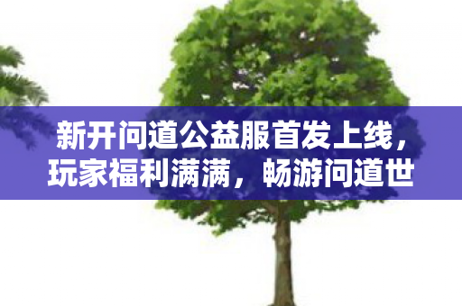 新开问道公益服首发上线，玩家福利满满，畅游问道世界！