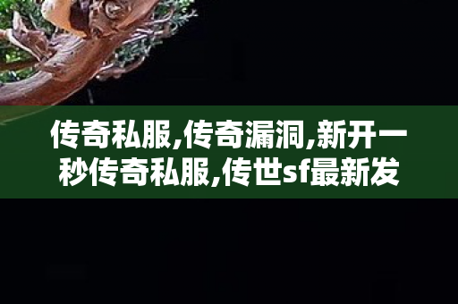 传奇私服,传奇漏洞,新开一秒传奇私服,传世sf最新发布网站,新开一秒传奇私服