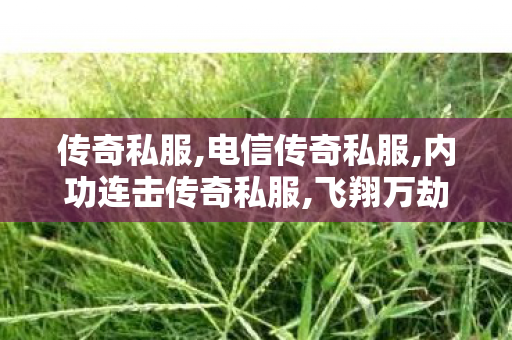 传奇私服,电信传奇私服,内功连击传奇私服,飞翔万劫连击,内功连击传奇私服
