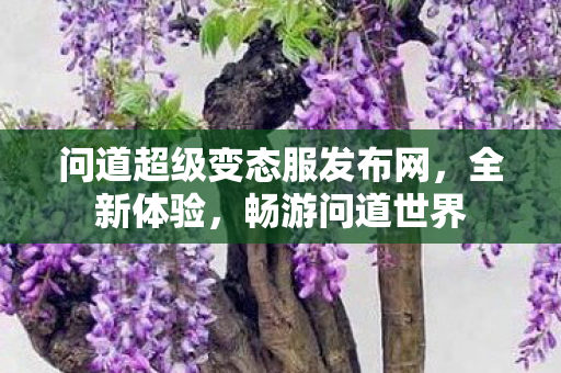 问道超级变态服发布网，全新体验，畅游问道世界